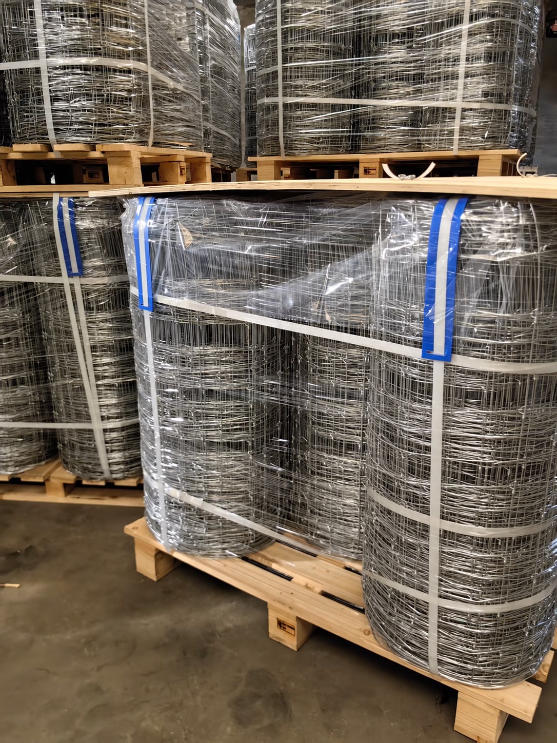 Unbranded fixed knot fence rolls packed on export pallets in a warehouse